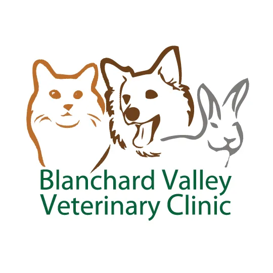 Blanchard Valley Veterinary: Anthony Fuller DVM Picture 4