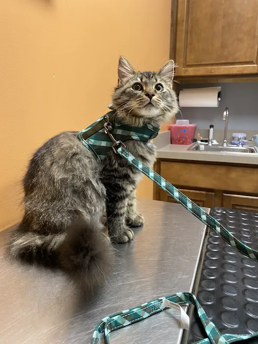 Blanchard Valley Veterinary Clinic Picture 1