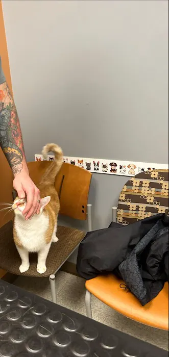 Blanchard Valley Veterinary Clinic Picture 8