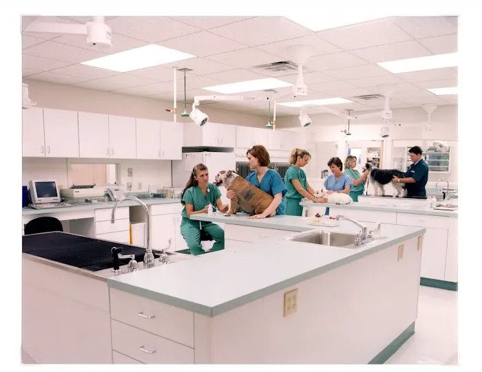 VCA Findlay Animal Hospital Picture 4
