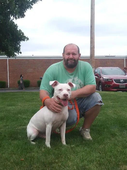 VCA Findlay Animal Hospital Picture 3