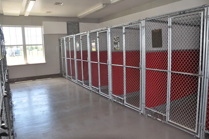 Bluffton Veterinary Hospital & Pet Care Center Picture 6