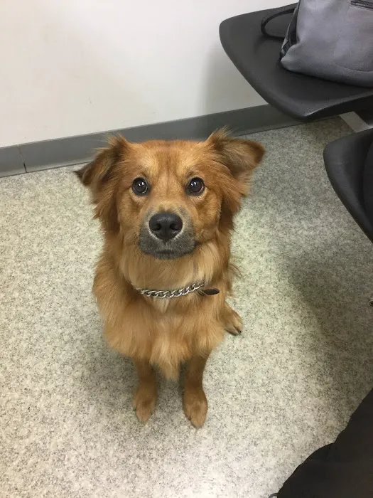 Oates Veterinary Clinic Picture 4