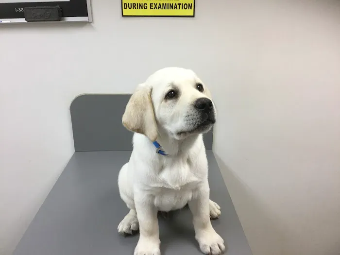 Oates Veterinary Clinic Picture 3