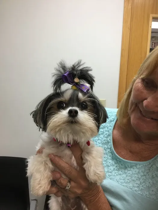 Oates Veterinary Clinic Picture 7