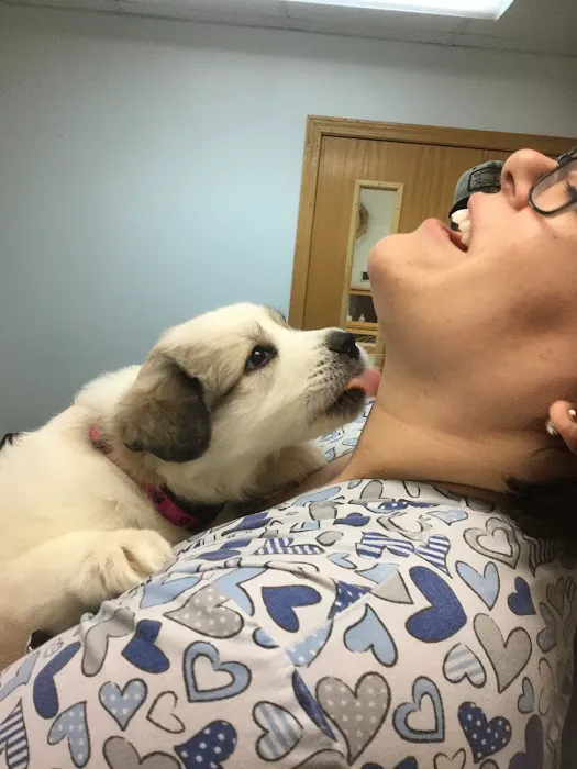 Oates Veterinary Clinic Picture 9