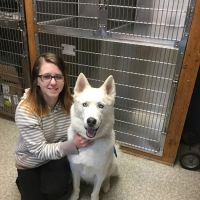 Oates Veterinary Clinic ico