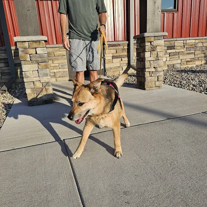 Perrysburg Animal Hospital Picture 9