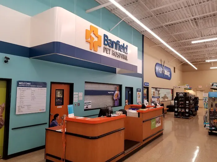 Banfield Pet Hospital Picture 4