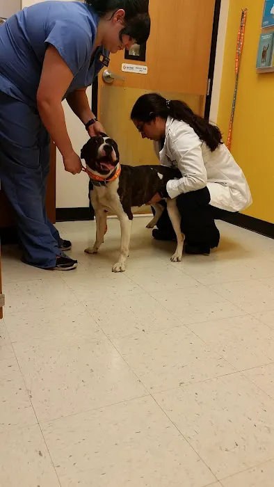 Banfield Pet Hospital Picture 2