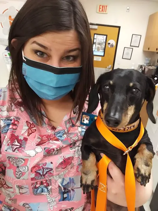 Banfield Pet Hospital Picture 1