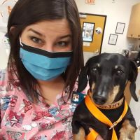 Banfield Pet Hospital ico