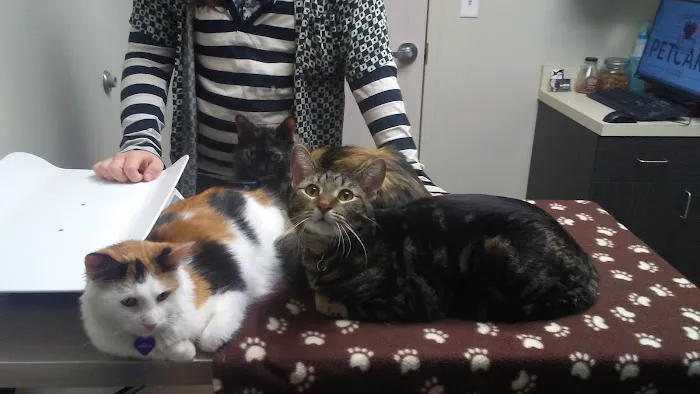 Community Pet Care Clinic Picture 7
