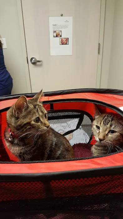 Community Pet Care Clinic Picture 9