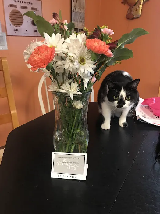 Shoreland Animal Hospital Picture 9