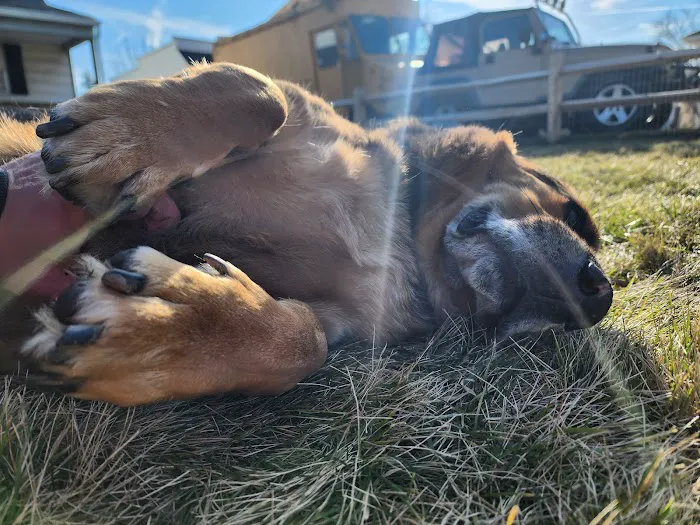Shoreland Animal Hospital Picture 8