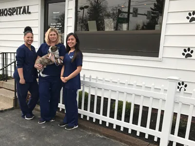 Airport Animal Hospital, Toledo: Dr. Cuesta DVM Picture 10