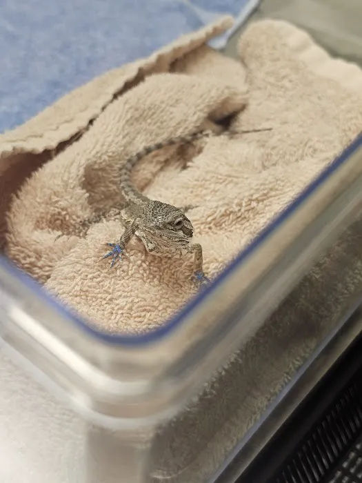 Hartman Veterinary Hospital Picture 10