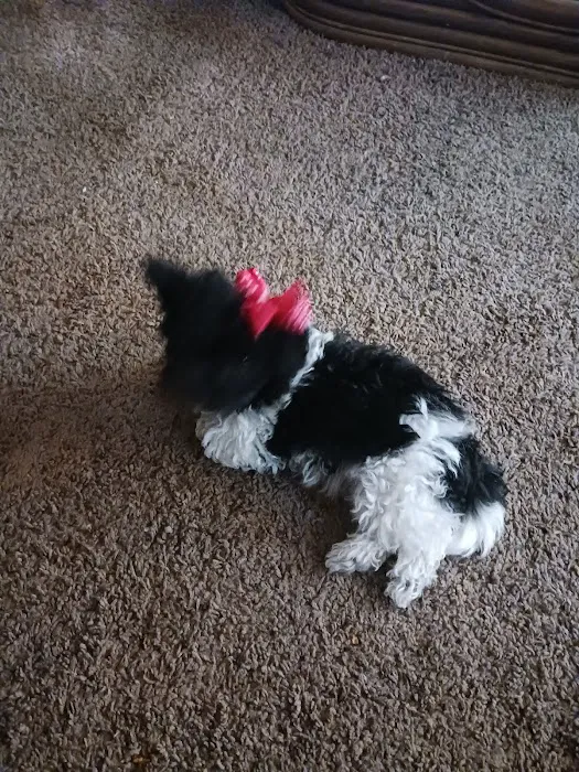 Circle T Veterinary Center Picture 1