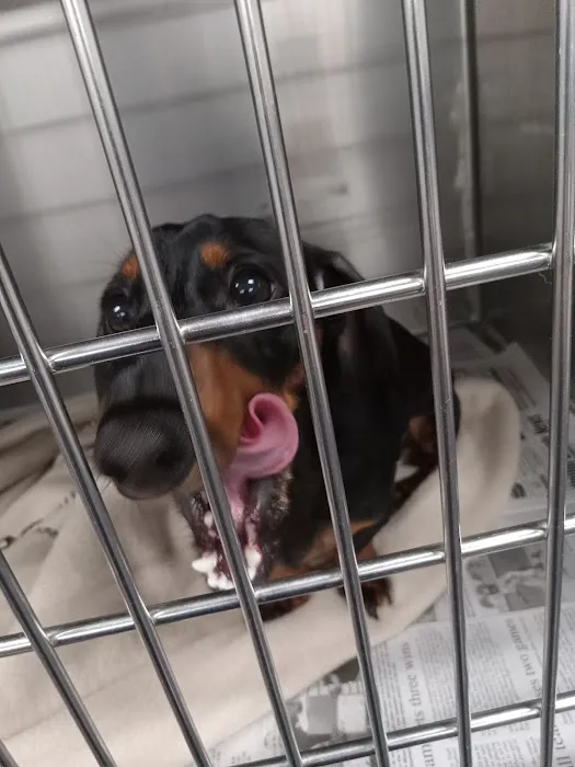 Triangle Veterinary Clinic Picture 1
