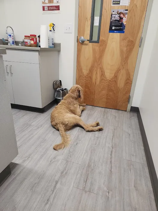 Triangle Veterinary Clinic Picture 7