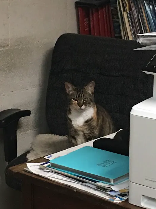 Triangle Veterinary Clinic Picture 9