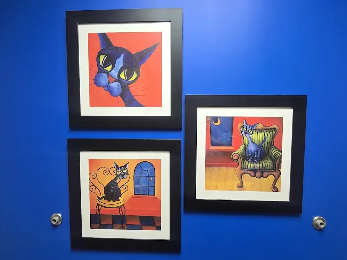 Palmetto Animal Clinic Picture 6