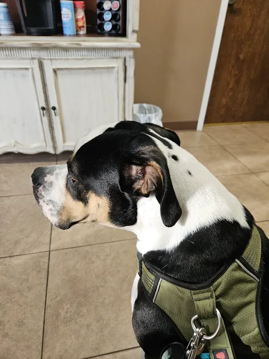 Palmetto Animal Clinic Picture 8