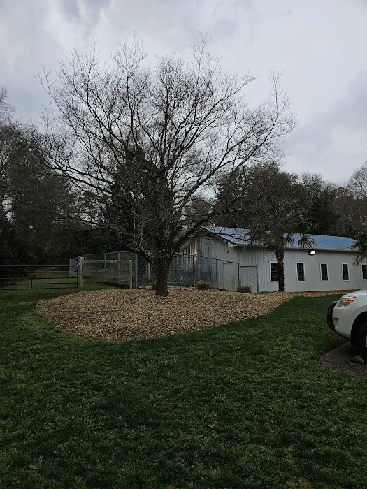 Palmetto Animal Clinic Picture 7