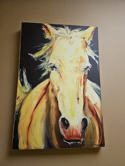 Palmetto Animal Clinic Picture 9