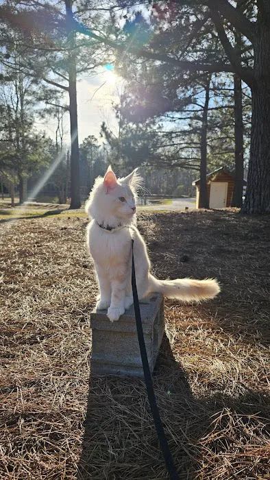 Banfield Pet Hospital Picture 3
