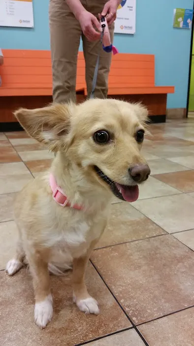 Banfield Pet Hospital Picture 10