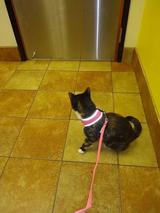 Banfield Pet Hospital Picture 6