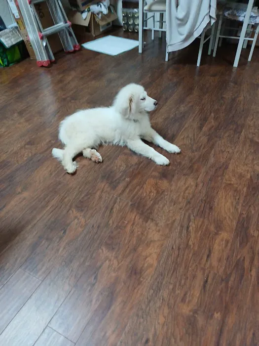 Banfield Pet Hospital Picture 4