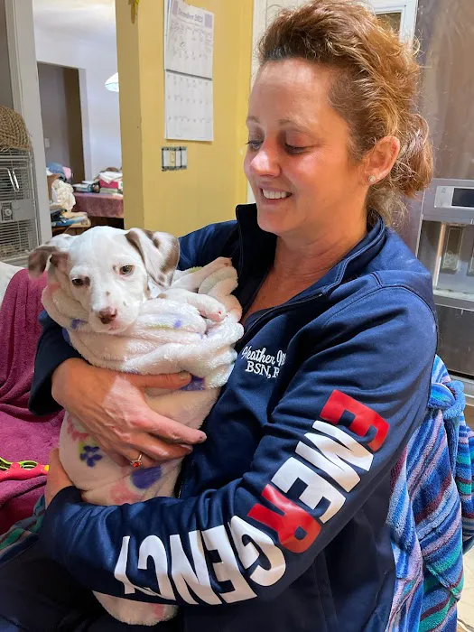 Critter Care Wellness & Rehabilitation Center Picture 3