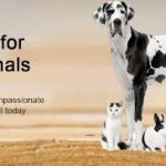 Carolina Place Animal Hospital
