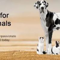 Carolina Place Animal Hospital ico