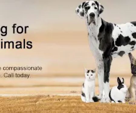 Carolina Place Animal Hospital
