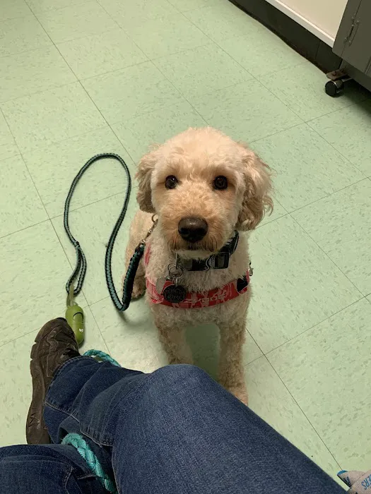 Carolina Place Animal Hospital Picture 6