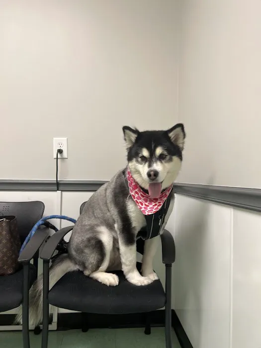 Carolina Place Animal Hospital Picture 9