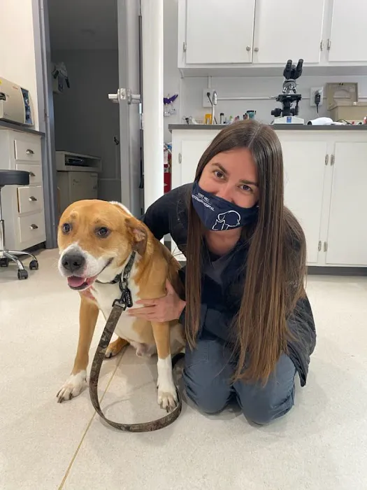 Fort Mill Animal Hospital Picture 3