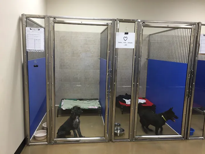 White Rose Veterinary Clinic Picture 1