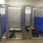 White Rose Veterinary Clinic