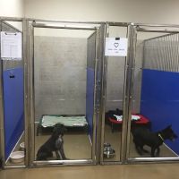White Rose Veterinary Clinic ico