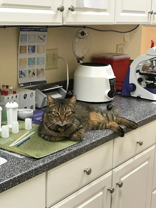 White Rose Veterinary Clinic Picture 2