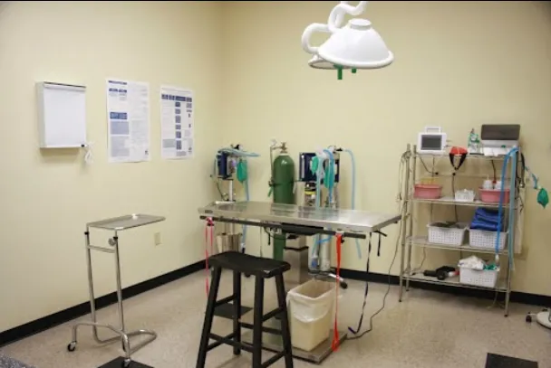 White Rose Veterinary Clinic Picture 5