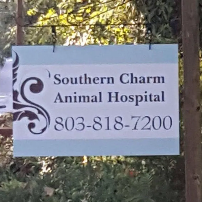SOUTHERN CHARM ANIMAL HOSPITAL, LLC Picture 2