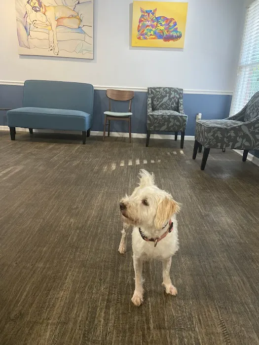 SOUTHERN CHARM ANIMAL HOSPITAL, LLC Picture 9