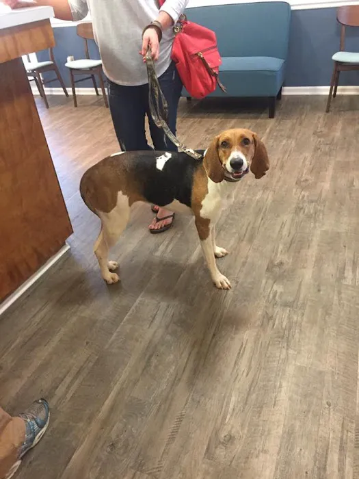 SOUTHERN CHARM ANIMAL HOSPITAL, LLC Picture 5