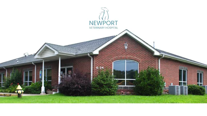 Newport Veterinary Hospital Picture 1